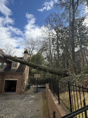 Emergency Service - Emergency call at 6AM — a tree fell on this customer’s house. Alpha & Omega responded fast, removed the tree safely, and cleaned up the area. Quick, reliable, and professional when it matters most. Emergency Service - Emergency call at 6AM — a tree fell on this customer’s house. Alpha & Omega responded fast, removed the tree safely, and cleaned up the area. Quick, reliable, and professional when it matters most.