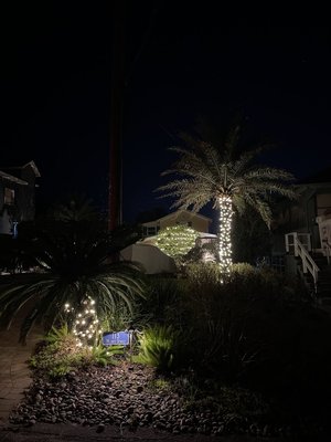 Holiday Lighting Installation in Jacksonville, FL - Choose us for your holiday lighting needs to experience a seamless and enchanting festive transformation. Whether you have existing lights or not, we can handle everything from intricate designs to efficient installation, ensuring a hassle-free experience. We understand that weather can have an effect on Christmas lighting, and we strive to come out and check on them as needed throughout the lifespan you want them displayed. When you choose us for your holiday lighting needs, you can keep them and have a discounted installation rate for next year! Trust us for a joyful and professionally executed holiday lighting installation that leaves a lasting impression. Holiday Lighting Installation in Jacksonville, FL - Choose us for your holiday lighting needs to experience a seamless and enchanting festive transformation. Whether you have existing lights or not, we can handle everything from intricate designs to efficient installation, ensuring a hassle-free experience. We understand that weather can have an effect on Christmas lighting, and we strive to come out and check on them as needed throughout the lifespan you want them displayed. When you choose us for your holiday lighting needs, you can keep them and have a discounted installation rate for next year! Trust us for a joyful and professionally executed holiday lighting installation that leaves a lasting impression.
