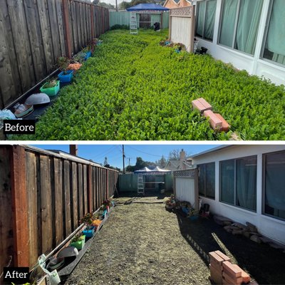 Property Cleanup - Homeowner house had grown weeds in her backyard because of the rain season. She was tired of not being able to use her backyard. That is where we can along. We helped her remove the weeds and get her property back into shape.