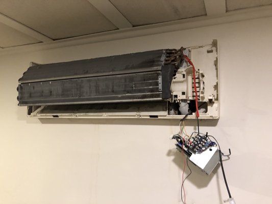 Mole Removal from Ductless A/C System - It is a good idea to have your ductless a/c system clean and inspected for mole. Mole Removal from Ductless A/C System - It is a good idea to have your ductless a/c system clean and inspected for mole.