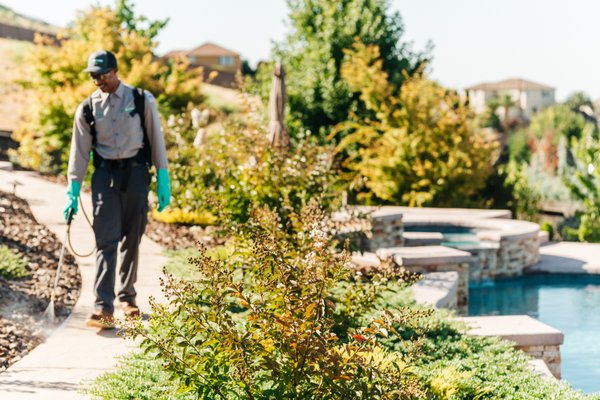 Residential Pest Control Service - Our team of highly-trained professionals know the most common pests in the area and how to prevent them. In addition, we specialize in the treatment of rodents, cockroaches, and ants which are nuisance pests that are commonly found invading homes.