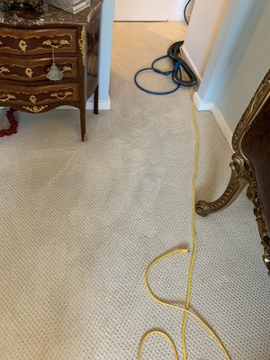 Carpet Cleaning - Carpet Cleaning Work Carpet Cleaning - Carpet Cleaning Work