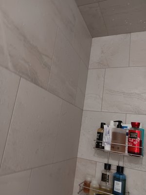 AFTER MOLD REMOVAL - THIS IS A COMPLETED MOLD REMOVAL PROJECT