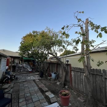 Land Clearing & Lot Cleaning - Bay Area Tree Pro’s Clean Up service is designed to help you keep your property clean and tidy after tree removal or pruning. Our team of experts will remove all debris, including branches, leaves, and logs, and dispose of them properly. We use state-of-the-art equipment and techniques to ensure that your property is left clean and free of any hazards. Our Clean Up service is available for both residential and commercial properties, and we offer flexible scheduling to accommodate your needs. With Bay Area Tree Pro, you can trust that your property will be left looking its best.Bay Area Tree Pro offers professional lot clearing services for residential and commercial properties. Our team of experienced professionals uses state-of-the-art equipment to clear any size lot quickly and efficiently. We specialize in removing trees, stumps, and other debris to prepare your lot for construction or landscaping. Our lot clearing services also include grading and leveling to ensure a smooth and even surface. We take pride in our work and strive to exceed our clients’ expectations. Contact us today to schedule your lot clearing service. Land Clearing & Lot Cleaning - Bay Area Tree Pro’s Clean Up service is designed to help you keep your property clean and tidy after tree removal or pruning. Our team of experts will remove all debris, including branches, leaves, and logs, and dispose of them properly. We use state-of-the-art equipment and techniques to ensure that your property is left clean and free of any hazards. Our Clean Up service is available for both residential and commercial properties, and we offer flexible scheduling to accommodate your needs. With Bay Area Tree Pro, you can trust that your property will be left looking its best.Bay Area Tree Pro offers professional lot clearing services for residential and commercial properties. Our team of experienced professionals uses state-of-the-art equipment to clear any size lot quickly and efficiently. We specialize in removing trees, stumps, and other debris to prepare your lot for construction or landscaping. Our lot clearing services also include grading and leveling to ensure a smooth and even surface. We take pride in our work and strive to exceed our clients’ expectations. Contact us today to schedule your lot clearing service.