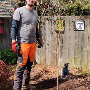 Planting - Planting trees is what our company does best.  We provide the best planting services of anyone around, and we have the warranty program to prove it.  Each tree (unless specified otherwise) comes with a five year maintenance plan, topped with a five year guarantee.  We will provide a complimentary consultation to help you find the perfect tree for your space, hand pick the tree at a small local family-owned nursery, deliver and plant the tree.  Each tree will receive pruning, fertilization, and any extra care it may need for the first five years to keep it healthy.