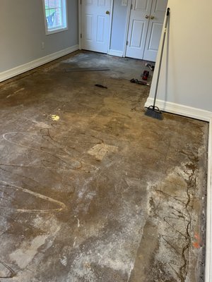 Remodel basement room - This was a project of a basement area that suffered flooding, we put a water resistant LVP. Remodel basement room - This was a project of a basement area that suffered flooding, we put a water resistant LVP.