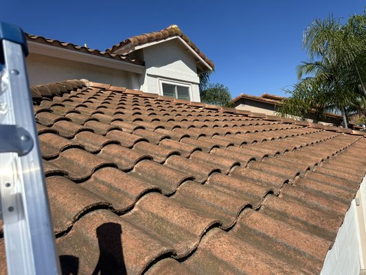 Roof wash - Roof wash! brighten up your home again! Roof wash - Roof wash! brighten up your home again!