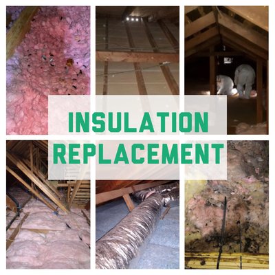 Attic, Crawl Space, & Wall Insulation - Insulation is one of the best ways to prevent mildew, mold, bacteria, wood rot, and roof deterioration. It also keeps moisture out of your attic and helps to maintain a moderate and controlled temperature in your attic. We offer a full range of insulation services, including: removal, replacement, and installation. Commonly insulated areas include: walls, attic, crawl spaces, floors, & ceilings.