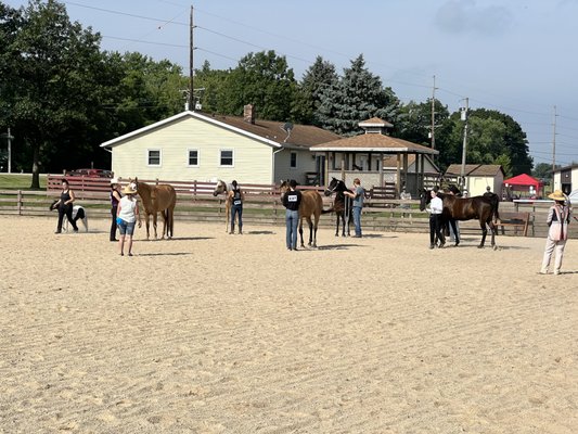 Join us for Horse Shows - Dawson Pointe Stables Open Schooling Show Series was started in 2021. They are created to allow a safe, education and local environment for horse enthusiasts to get out and show and school horses and riders from green to experienced. Great food, fun prizes and experiences. Join us for Horse Shows - Dawson Pointe Stables Open Schooling Show Series was started in 2021. They are created to allow a safe, education and local environment for horse enthusiasts to get out and show and school horses and riders from green to experienced. Great food, fun prizes and experiences.