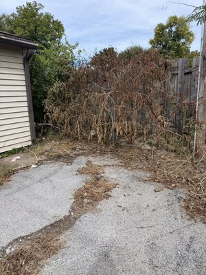 PROPERTY Cleanup - This property Cleanup was a move out and Garage Cleanup and then the owner said can you clean up that back row with that fence? It was really overgrown ended up being one full trailer 16 foot long and half of the second trailer And we knocked it out.
Thanks, Bobbi