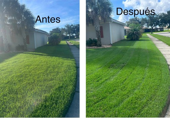 Weekly Lawn Maintenance - We provided a complete lawn care service, including lawn mowing, edging, trimming, blowing, and yard cleanup. Our goal was to leave the property clean, neat, and looking its best. We offer reliable service, free estimates, and competitive prices. Call or text 407-449-0789 (Español) or 863-845-4638 (English). Weekly Lawn Maintenance - We provided a complete lawn care service, including lawn mowing, edging, trimming, blowing, and yard cleanup. Our goal was to leave the property clean, neat, and looking its best. We offer reliable service, free estimates, and competitive prices. Call or text 407-449-0789 (Español) or 863-845-4638 (English).