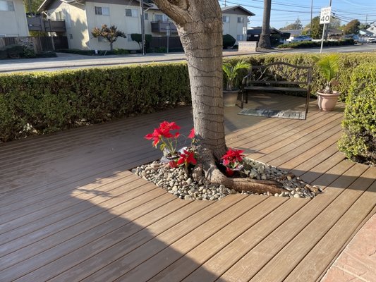 Trex decking - New Trex decking installation that transforms outdoor spaces with a modern, low-maintenance finish.