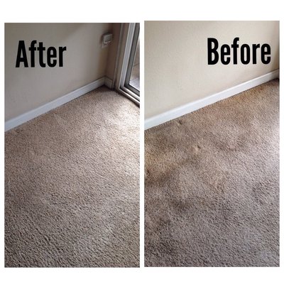 Carpet Cleaning & Pet Stain Removal - Not only is it difficult to deal with a pet urine accident once one has occurred, but it’s also tough to know where past accidents may have taken place, including accidents you may not have even known about that could be emitting an unpleasant odor. Carpet Cleaning & Pet Stain Removal - Not only is it difficult to deal with a pet urine accident once one has occurred, but it’s also tough to know where past accidents may have taken place, including accidents you may not have even known about that could be emitting an unpleasant odor.