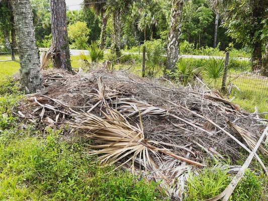 Easy Day Junk Removal | Yard Debris cleanout - Sometimes yard debris in Florida gets away from you. Let us help you play catch-up before Hurricane season gets in full swing.