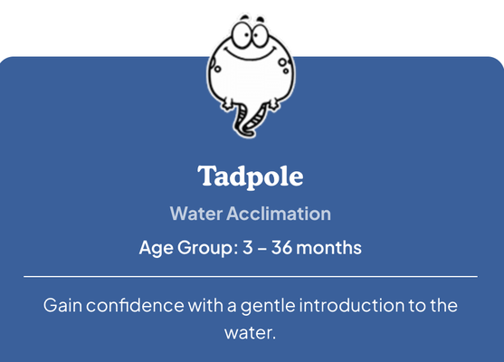 Under 3 years old - Water survival and stroke development for under infants and toddlers in safe and happy environment. Under 3 years old - Water survival and stroke development for under infants and toddlers in safe and happy environment.