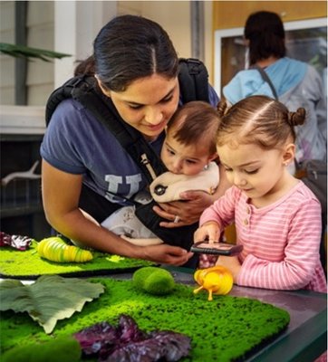 Butterfly Season at Kidspace Children's Museum - Butterfly Season at Kidspace Children's Museum during springtime. Families were able to get an up-close view and hands-on interaction with new exhibits, activities, and special events celebrating the lifecycle and habitat of pollinators. Go on a bug-spotting safari to identify native bugs, bees, and caterpillars as well as pollinator-friendly plants. Create your own pollinator out of clay, spread it with seed, and watch it sprout green and fuzzy at home. Dance a loopy flight path outside wearing colorful butterfly wings. Get a bugs-eye view of what pollinators do in our Nature Exchange. Adopt a live caterpillar, take it home and watch it grow into a native painted lady butterfly that you release into nature. Butterfly Season at Kidspace Children's Museum - Butterfly Season at Kidspace Children's Museum during springtime. Families were able to get an up-close view and hands-on interaction with new exhibits, activities, and special events celebrating the lifecycle and habitat of pollinators. Go on a bug-spotting safari to identify native bugs, bees, and caterpillars as well as pollinator-friendly plants. Create your own pollinator out of clay, spread it with seed, and watch it sprout green and fuzzy at home. Dance a loopy flight path outside wearing colorful butterfly wings. Get a bugs-eye view of what pollinators do in our Nature Exchange. Adopt a live caterpillar, take it home and watch it grow into a native painted lady butterfly that you release into nature.