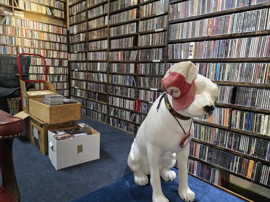 CDs & Cassettes - Our recently redone CD and cassette sections makes it easier than ever to dig through our huge CD and cassette selections. Plus $5 CDs are available too! CDs & Cassettes - Our recently redone CD and cassette sections makes it easier than ever to dig through our huge CD and cassette selections. Plus $5 CDs are available too!