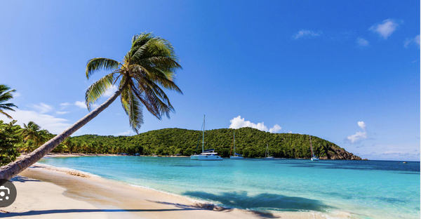 Caribbean Islands - Sometimes non-cruisers claim cruising can be boring. Let’s set the record straight: whether you’re sailing to the Eastern, Western or Southern Caribbean, we have your adventure covered. You can soar through the air in Belize, glide over the water in Cozumel, slide down a river in Dominican Republic or seek out an undersea adventure by going on a wreck dive in Aruba. So go on, own your Caribbean adventure vacation - it’s going to be a blast! Here are 7 thrilling things to do on a Caribbean Cruise! Caribbean Islands - Sometimes non-cruisers claim cruising can be boring. Let’s set the record straight: whether you’re sailing to the Eastern, Western or Southern Caribbean, we have your adventure covered. You can soar through the air in Belize, glide over the water in Cozumel, slide down a river in Dominican Republic or seek out an undersea adventure by going on a wreck dive in Aruba. So go on, own your Caribbean adventure vacation - it’s going to be a blast! Here are 7 thrilling things to do on a Caribbean Cruise!