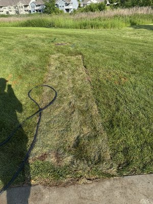 Adding a head to irrigation system - This customer needed an additional head on the other side of the driveway