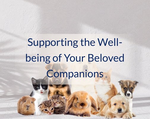 Animal Energy Healing Sessions - Our animals feel deeply. They love, grieve, worry, and protect, and just like humans, they can absorb emotional energy, stress, and even trauma. When these imbalances build up, they often manifest as physical symptoms, behavioral changes, anxiety, or restlessness.

I created this Animal Healing offering to help bring peace, balance, and harmony back to your pet’s body, mind, and spirit. Whether you are noticing unusual behaviors, unexplained health concerns, or simply want to support your companion’s overall well-being, energy healing can make a profound difference.

As a Quantum Healing Practitioner, I work with animals using the same approach I use with humans. I identify and release trapped emotions, energetic imbalances, and inherited patterns that may be contributing to discomfort or distress. Animals can hold onto emotional energies such as fear, grief, sadness, abandonment, or confusion. Because they cannot express these emotions in words, we often see them expressed through:
	•	Sudden or unexplained changes in behavior
	•	Anxiety, nervousness, or aggression
	•	Fatigue or loss of appetite
	•	Difficulty bonding or trusting
	•	Repetitive or self-destructive habits
	•	Chronic pain or health issues

Animal Healing helps restore their natural vitality and emotional balance, creating a calmer, happier, and more harmonious household.

How Sessions Work
	1.	You’ll share what’s happening with your pet, including physical, behavioral, or emotional concerns.
	2.	I connect energetically with your animal through Zoom or a phone call using their energetic signature.
	3.	Trapped emotions and energetic imbalances are identified and gently cleared using intuitive guidance and quantum healing techniques.
	4.	You receive feedback about what was released, along with insights into what your pet may have been experiencing.

Animals respond beautifully to this work, and physical presence is not required. To enhance the connection, I recommend sending a recent photo of your pet before or during the session. This allows me to tune into their energy field more deeply and effectively.

I work with all types of animals, including dogs, cats, birds, horses, rabbits, turtles, and even farm or wild animals. Every being has an energy field that can be harmonized, bringing them back to a place of balance and peace.

Sessions support emotional release, physical comfort, and overall well-being. When your beloved companion heals, the positive effects are often felt throughout the household.

A complimentary 30-minute consultation is available to discuss your animal’s situation before booking a session.

Restore your pet’s energy, release trapped emotions, and create a space for balance, joy, and vitality. Book an Animal Healing session today.