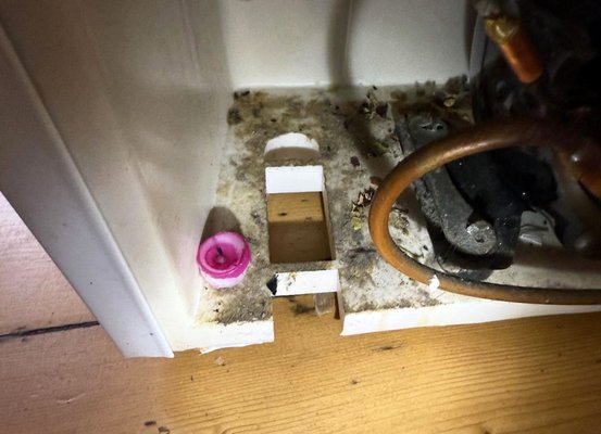 Sunset Park Pest Control | New York City, NY Spider elimination - Professional Spider elimination services in New York City, NY. Sunset Park Pest Control | New York City, NY Spider elimination - Professional Spider elimination services in New York City, NY.