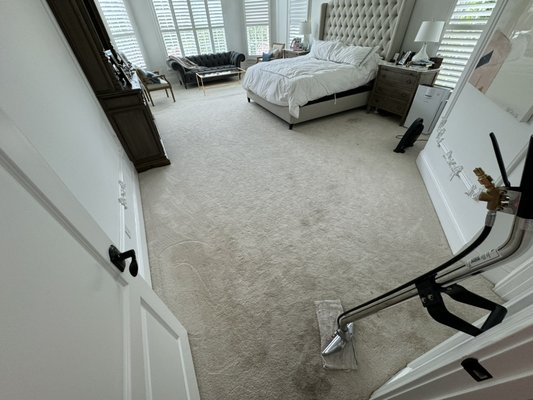 Residential Carpet cleaning/deodorizing - This carpet cleaning was done in a stunning home in Lexington with lots of spills and built up accumulation of dirt and grime. 

Contact us today to have your carpets looking and smelling brand new!