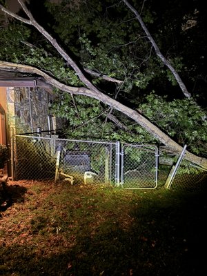 1:30AM tree on house in Sandy Springs. Inspection notes no broken gas lines or issues. - Repair on roof 1:30AM tree on house in Sandy Springs. Inspection notes no broken gas lines or issues. - Repair on roof