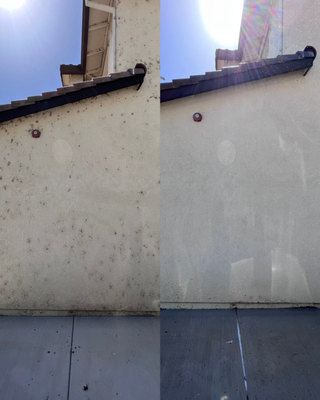 Home SoftWash - Our Softwash service uses eco-friendly cleaning solutions that are tough on dirt and grime but gentle on your home's surfaces and the environment. We combine low-pressure water technology with high-quality cleaning agents to deliver outstanding results, preserving the integrity of your home's exterior. Home SoftWash - Our Softwash service uses eco-friendly cleaning solutions that are tough on dirt and grime but gentle on your home's surfaces and the environment. We combine low-pressure water technology with high-quality cleaning agents to deliver outstanding results, preserving the integrity of your home's exterior.