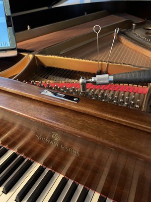 Piano tuning - This piano needed a special kind of tuning known as a pitch raise, as it had not been tuned in many years. We were able to bring it close to standard tuning after one visit. We then softened the hammers and regulated the action.