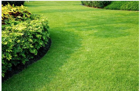 Lawn Services - Mowing, edging, trimming, landscaping, seeding and more call today for free estimate! Lawn Services - Mowing, edging, trimming, landscaping, seeding and more call today for free estimate!