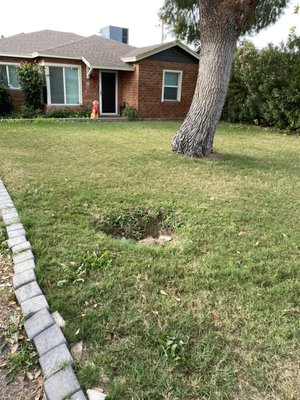 Lawn services - This home is on our bi weekly lawn service schedule. Lawn services - This home is on our bi weekly lawn service schedule.