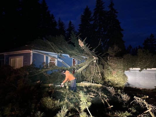 Emergency tree services - We're here to help. We can remove your fallen trees and clean up the storm damage. Emergency tree services - We're here to help. We can remove your fallen trees and clean up the storm damage.