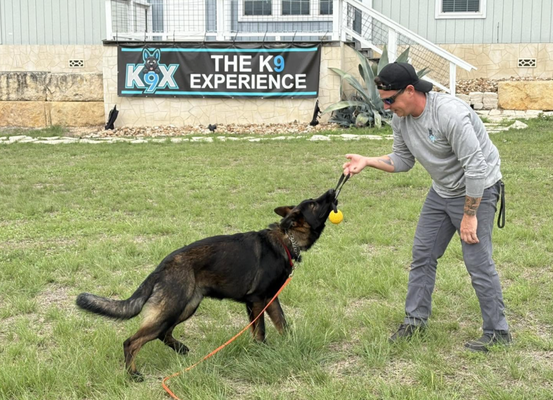 Training Packages - A calm, structured experience built around your dog not a one-size-fits-all routine. Your dog is guided through a balanced day with purposeful engagement, time to rest, and thoughtful supervision. We pay close attention to comfort, behavior, and stress signals, adjusting care as needed so your dog feels safe and supported. The result is a dog who comes home more settled and confident—and an owner who feels informed, reassured, and at ease. Training Packages - A calm, structured experience built around your dog not a one-size-fits-all routine. Your dog is guided through a balanced day with purposeful engagement, time to rest, and thoughtful supervision. We pay close attention to comfort, behavior, and stress signals, adjusting care as needed so your dog feels safe and supported. The result is a dog who comes home more settled and confident—and an owner who feels informed, reassured, and at ease.