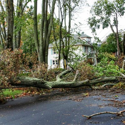 Hurricane debris removal - Downed trees, storm, hurricane debris removal Hurricane debris removal - Downed trees, storm, hurricane debris removal