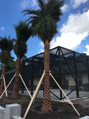 LANDSCAPE INSTALLATIONS - LANDSCAPE INSTALLATIONS, TREES, PALMS, SHRUBS, FLOWERS, ETC.
