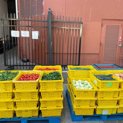 Phoenix Food Project - We have at times marketed our produce through other vendors to upscale markets in the Bay Area, but a few years ago, during the pandemic, we decided that we wanted to focus on growing the very best organically grown produce for the people who needed food the most. We currently donate 95% of our vegetables and fruit from the farm, which amounts to between 25,000 and 35,000 lbs of diverse high-quality organically grown fruits and vegetables. We partner with the innovative Berkeley Food Network (BFN), which uses a community-centered approach to food sourcing and distribution to provide easy and convenient access to healthy, high-quality free food for people who need it.
We love doing what we do best–growing high-quality, diverse crops from artichokes to tomatoes and everything in between–and giving it away to people who need it. In order to continue to do this long-term, we started the Fall Farm Fest as a way to cover some of the costs, such as seed, compost, equipment, and fuel, as well as to share the most beautiful time of the year on the central coast with others. Today, the profits from the Fall Fest offset the cost of production of diverse high-quality, organically grown vegetables. While the Fall Fest helps us cover many of the costs, growing this much produce takes a lot of work, and for this, we rely almost entirely on a large and tough volunteer labor of family and close friends and a growing group of amazing new volunteers. Phoenix Food Project - We have at times marketed our produce through other vendors to upscale markets in the Bay Area, but a few years ago, during the pandemic, we decided that we wanted to focus on growing the very best organically grown produce for the people who needed food the most. We currently donate 95% of our vegetables and fruit from the farm, which amounts to between 25,000 and 35,000 lbs of diverse high-quality organically grown fruits and vegetables. We partner with the innovative Berkeley Food Network (BFN), which uses a community-centered approach to food sourcing and distribution to provide easy and convenient access to healthy, high-quality free food for people who need it.
We love doing what we do best–growing high-quality, diverse crops from artichokes to tomatoes and everything in between–and giving it away to people who need it. In order to continue to do this long-term, we started the Fall Farm Fest as a way to cover some of the costs, such as seed, compost, equipment, and fuel, as well as to share the most beautiful time of the year on the central coast with others. Today, the profits from the Fall Fest offset the cost of production of diverse high-quality, organically grown vegetables. While the Fall Fest helps us cover many of the costs, growing this much produce takes a lot of work, and for this, we rely almost entirely on a large and tough volunteer labor of family and close friends and a growing group of amazing new volunteers.