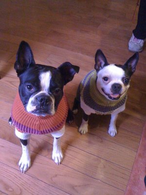 Puppy & Dog play date time - This is where we match up another puppy or adult dog to build confidence socializing and playing . Smaller groups builds confidence and less issues to implement proper play skills. Pups must be up to date on important vaccines. Puppy & Dog play date time - This is where we match up another puppy or adult dog to build confidence socializing and playing . Smaller groups builds confidence and less issues to implement proper play skills. Pups must be up to date on important vaccines.