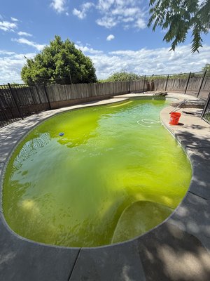 Green To Clean. - Green-to-Clean Service
Is your pool looking more like a pond? I specialize in transforming green, cloudy, or swampy pools back into sparkling blue water that’s safe to swim in.

Pricing: Green-to-Clean services generally range $300–$500, depending on pool size and severity. Heavier cleanups may be higher if the pool requires more time, chemicals, or visits.
Includes: Multiple service visits, heavy brushing & vacuuming, chemical treatments, and water balancing.