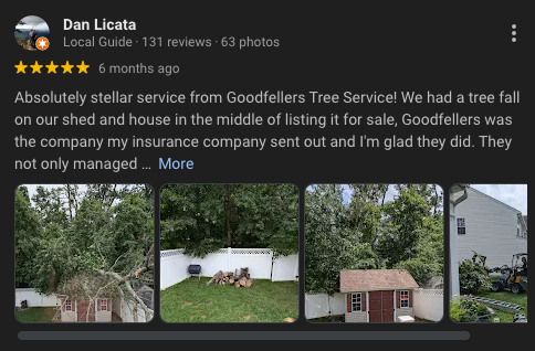 Testimonials - Testimonials Testimonials - Testimonials