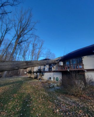 Emergency Tree Services - At Bizee Bee Tree, we understand that natural disasters can significantly impact the well-being of your property. If you are dealing with fallen trees and debris on your property, rest assured that our team is here to help. With years of experience providing storm cleanup and fallen tree removal services in Putnam & Westchester County, NY, we have the expertise to handle any emergency storm recovery situation.