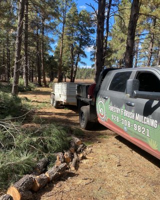 Land Clearing - Reducing this stand to approximately 50 trees per acre, removing all insect and disease trees, retaining all wildlife habitat in the unit. We love what we do over here. Land Clearing - Reducing this stand to approximately 50 trees per acre, removing all insect and disease trees, retaining all wildlife habitat in the unit. We love what we do over here.