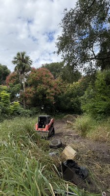 Tree removal - “On this land clearing project, we started with an overgrown, cluttered lot filled with thick brush, fallen branches, and small trees. Our team carefully removed all vegetation, debris, and stumps, leveling the ground and ensuring proper drainage. After the cleanup, the lot is now open, clean, and ready for construction or landscaping, giving a fresh start and a blank canvas for future plans.” Tree removal - “On this land clearing project, we started with an overgrown, cluttered lot filled with thick brush, fallen branches, and small trees. Our team carefully removed all vegetation, debris, and stumps, leveling the ground and ensuring proper drainage. After the cleanup, the lot is now open, clean, and ready for construction or landscaping, giving a fresh start and a blank canvas for future plans.”