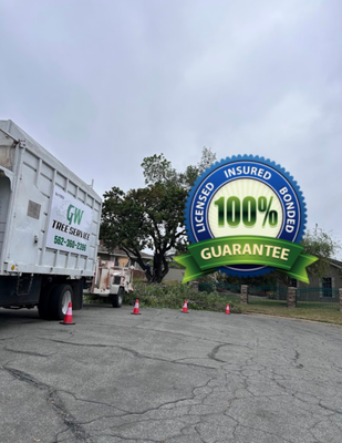 Licensed and Insured Tree Service - At GW Tree Service , we take a systematic approach to tree care. We begin by conducting a thorough assessment of your trees and developing a plan that meets your specific needs. We then execute the plan with precision and care, ensuring that your trees are healthy and thriving. Licensed and Insured Tree Service - At GW Tree Service , we take a systematic approach to tree care. We begin by conducting a thorough assessment of your trees and developing a plan that meets your specific needs. We then execute the plan with precision and care, ensuring that your trees are healthy and thriving.