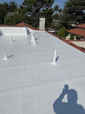Midwest Roofing Project - Need a new roof? We’ve got you covered—literally. 🛠️
From repairs to full replacements, Midwest Roofing 1305 is your go-to for trusted, local roofing services.
📞 Book your free estimate today! Call 310-515-1464 to secure a slot today.
#MidwestRoofing1305 Midwest Roofing Project - Need a new roof? We’ve got you covered—literally. 🛠️
From repairs to full replacements, Midwest Roofing 1305 is your go-to for trusted, local roofing services.
📞 Book your free estimate today! Call 310-515-1464 to secure a slot today.
#MidwestRoofing1305