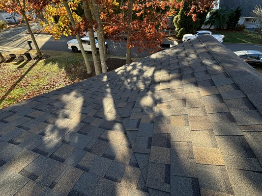 Roof Replacement in East Moriches, Long Island. - Full Roof Replacement using ATLAS Pinnacle Pristine shingles in Cooper Canyon color! Roof Replacement in East Moriches, Long Island. - Full Roof Replacement using ATLAS Pinnacle Pristine shingles in Cooper Canyon color!