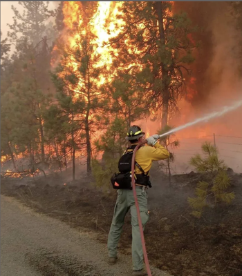 Firefighter Owned & Operated! - Serving the Kern River Valley, we have dedicated ourselves to creating a safer community by way of
hiring only firefighters. That's right, VFHR is exclusively owned and operated by certified wildland
firefighters. Your quotes will always be free and my personal guarantee as the owner is that you will always love the product of our hard work.