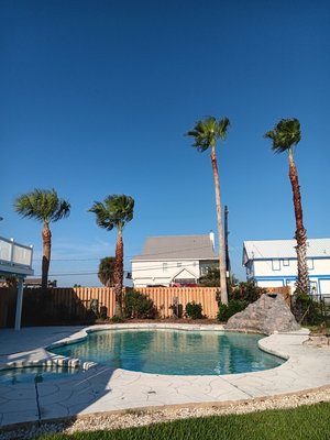 Palm Trees - Need your Palm trees trim? No problem just give us a call. Competitive Prices Palm Trees - Need your Palm trees trim? No problem just give us a call. Competitive Prices