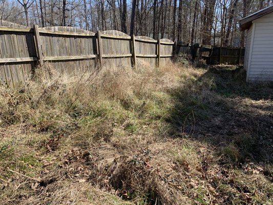 Bush hogging in Cary, NC - Brush cutting a wet backyard in Cary, NC Bush hogging in Cary, NC - Brush cutting a wet backyard in Cary, NC