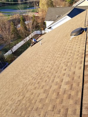 GAF Timberline® HDZ™ Lifetime Shingles - Barkwood - GAF Timberline® HDZ™ Lifetime Shingles - Barkwood GAF Timberline® HDZ™ Lifetime Shingles - Barkwood - GAF Timberline® HDZ™ Lifetime Shingles - Barkwood