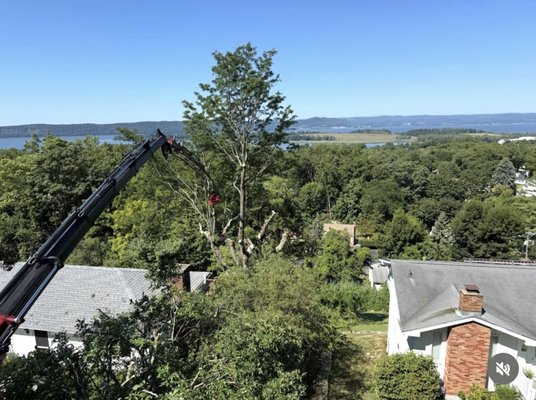 Tree Removal - Our professional and experienced team offers safe and efficient tree removal services for trees of any size and in any location. We use the latest equipment and techniques to remove trees carefully and without causing damage to your property. Whether your tree is dead, diseased, or posing a safety hazard, we can remove it quickly and effectively. Trust us to take care of your tree removal needs with the utmost care and professionalism